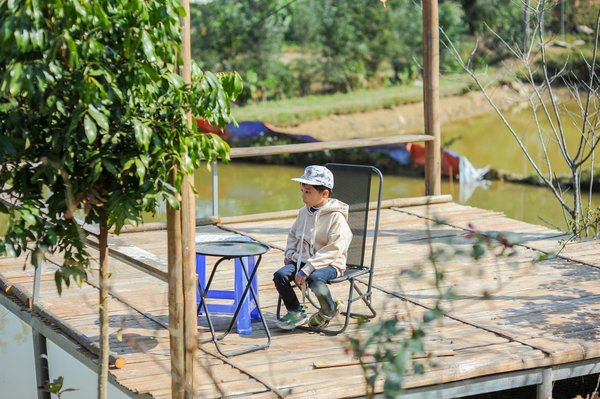 Comment créer un coin lecture apaisant à la maison ?