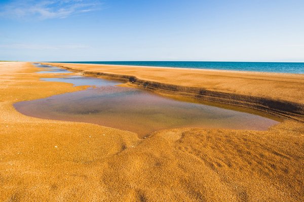 Quels sont les personnages de dessins animés les plus emblématiques ?